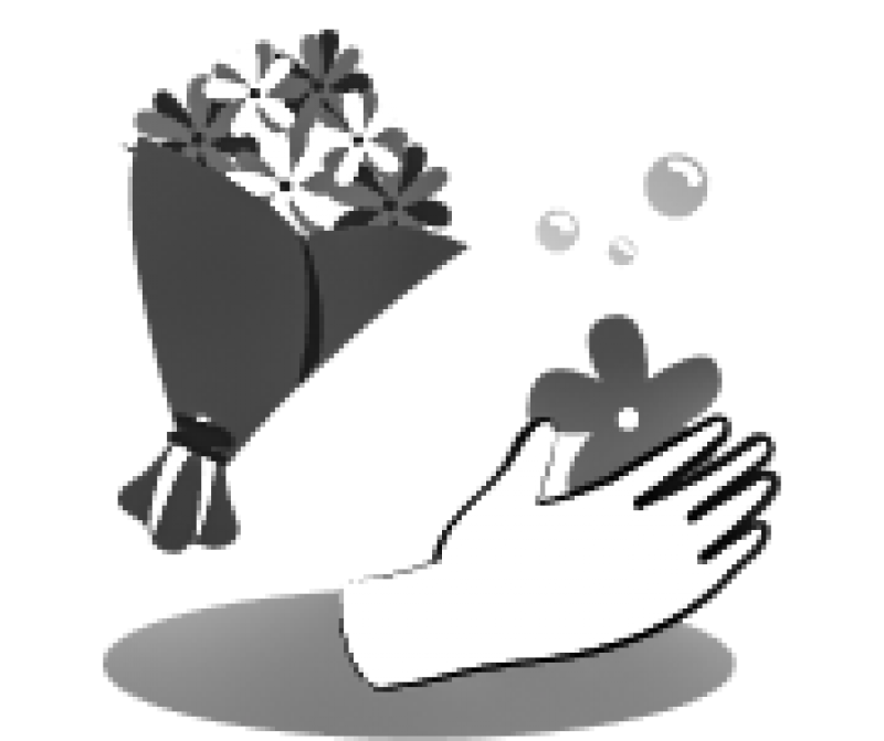 Flori ieftine