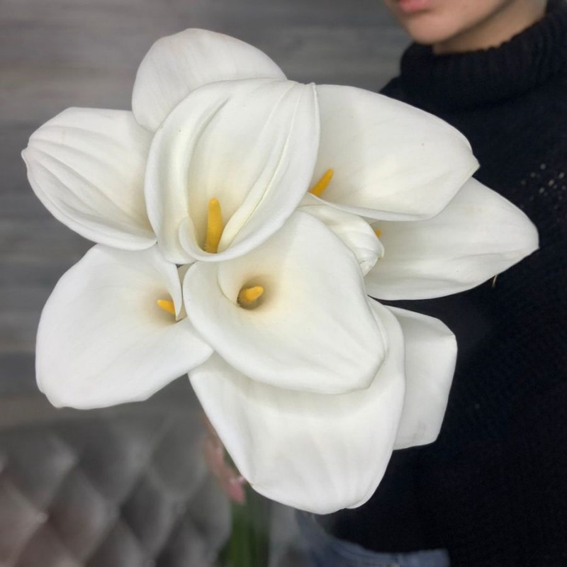 Каллы белые Кишинев