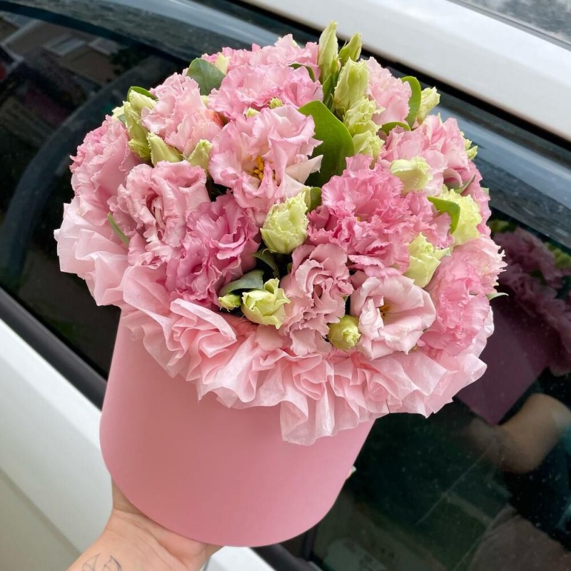 Eustoma 