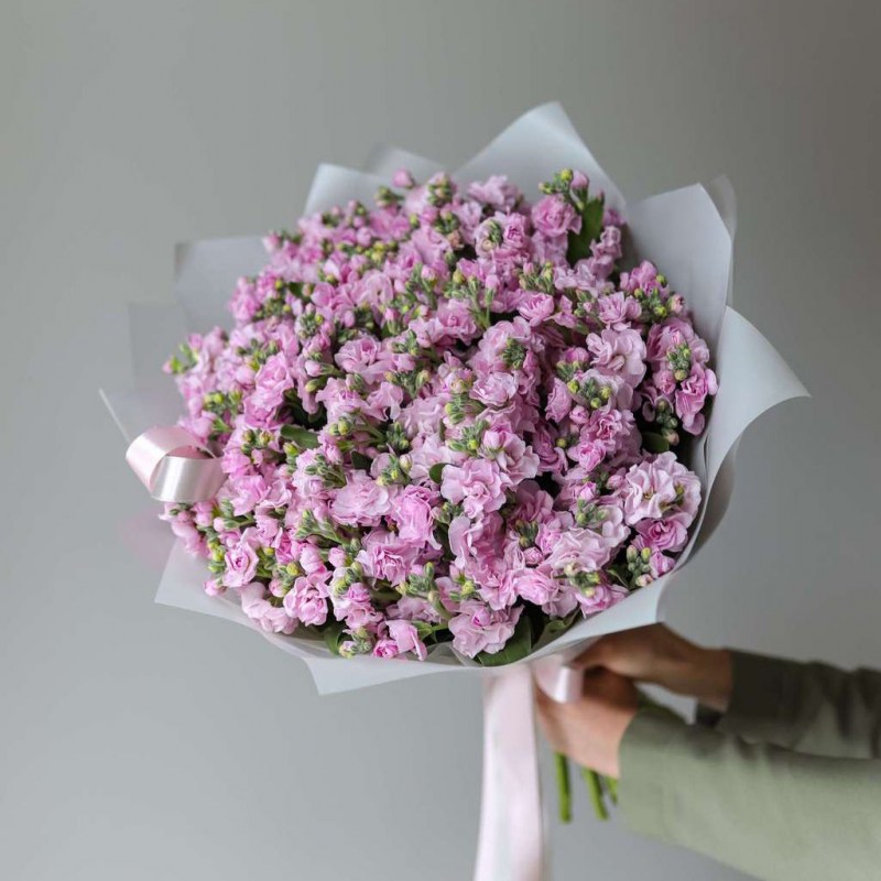 2-aed5fa9b02bc7f012584ee48669d0db2