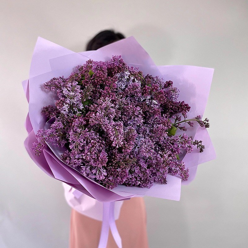 Нет заданного изображения 