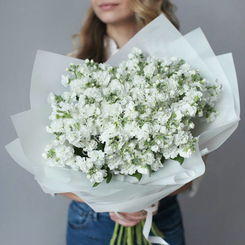 Белая маттиола Кишинев
