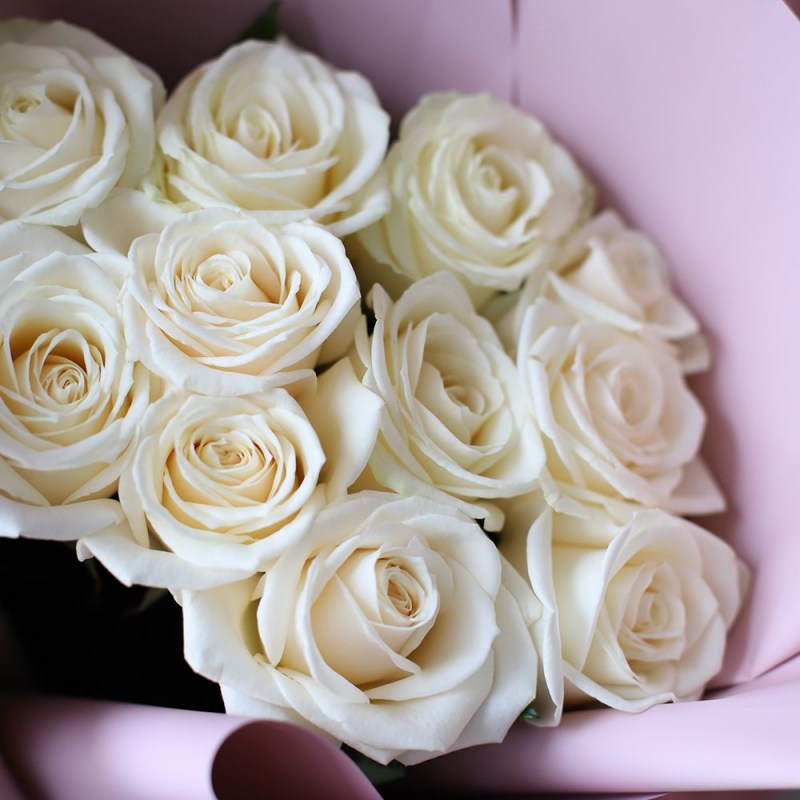 9tyjX5ehwf4