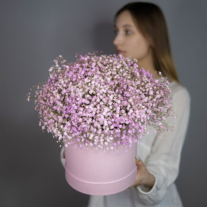 DSCF6560
