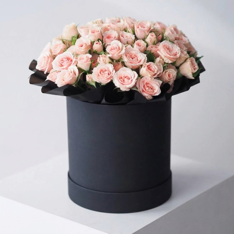 Gemini_Generated_Image_9rw2mf9rw2mf9rw2