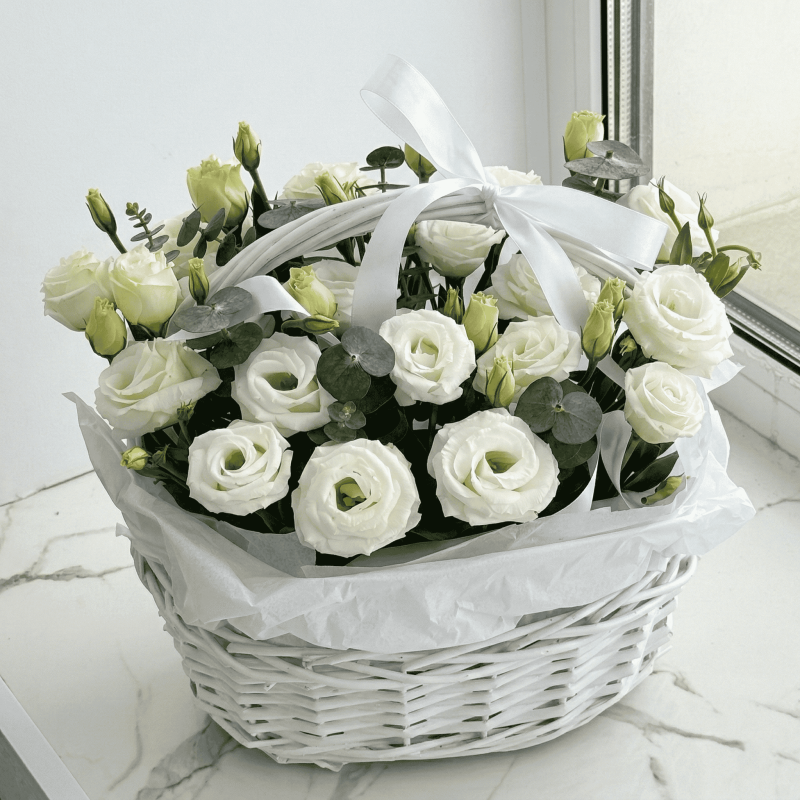 Нет заданного изображения 