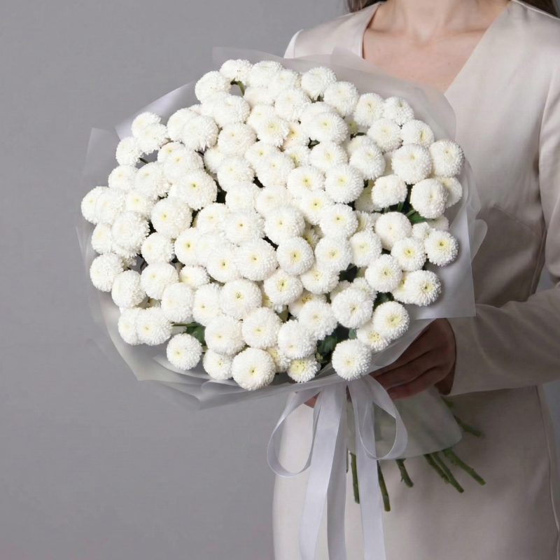 Gemini_Generated_Image_g8eqg4g8eqg4g8eq