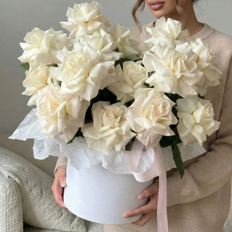 Нет заданного изображения 