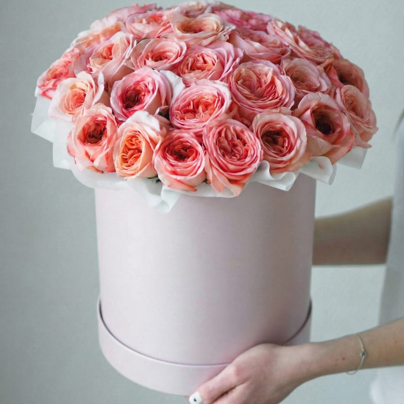 Нет заданного изображения 