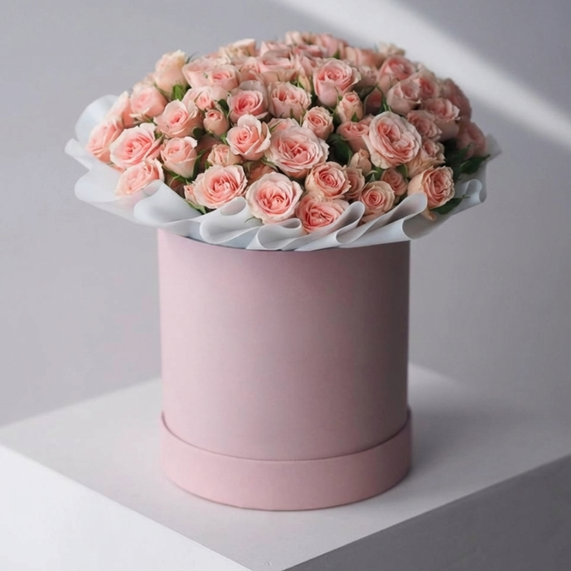 Нет заданного изображения 