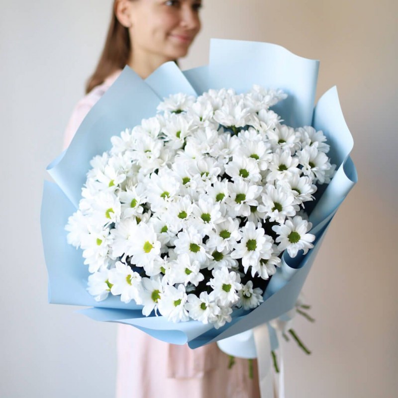 Хризантема Кишинев