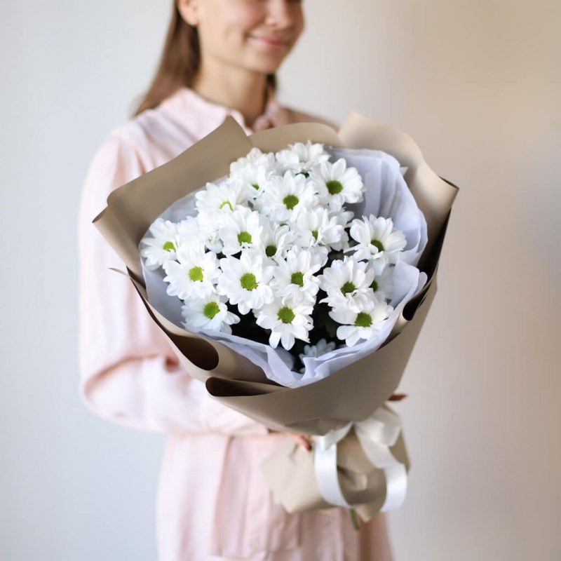 Хризантема Кишинев