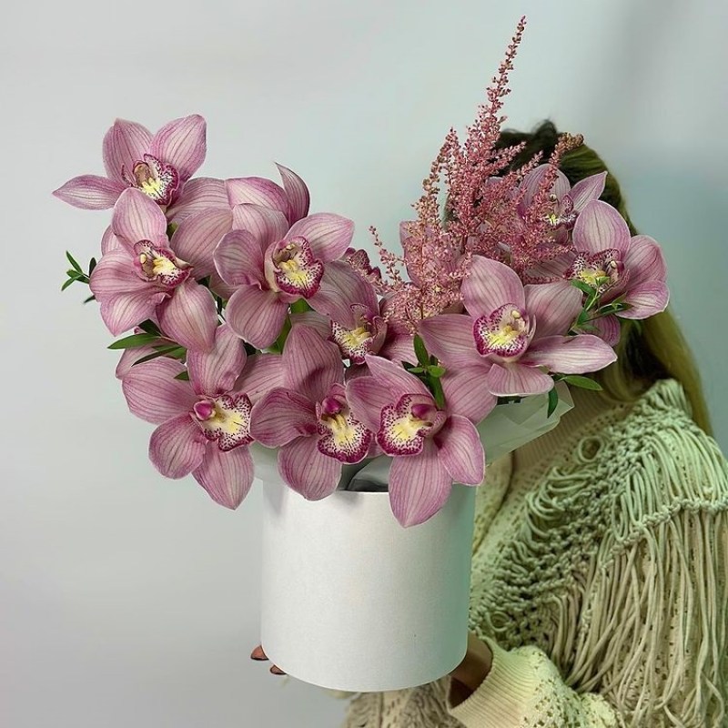 Orchid Chisinau 
