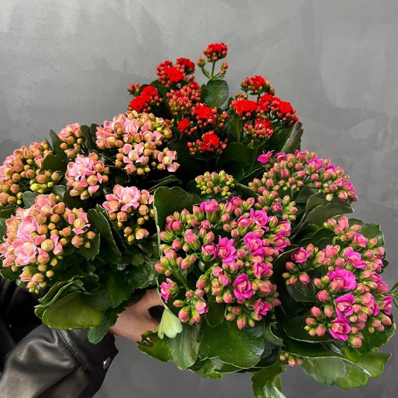 Нет заданного изображения 