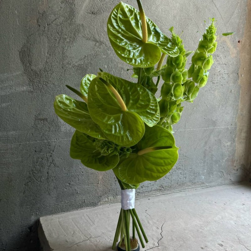 Нет заданного изображения 