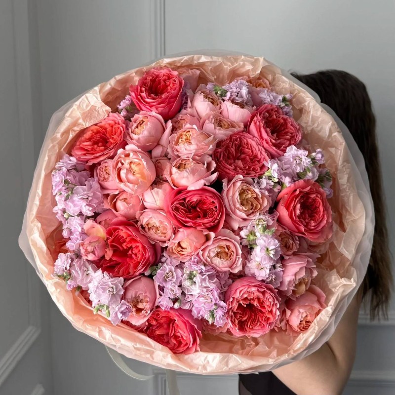 Нет заданного изображения 