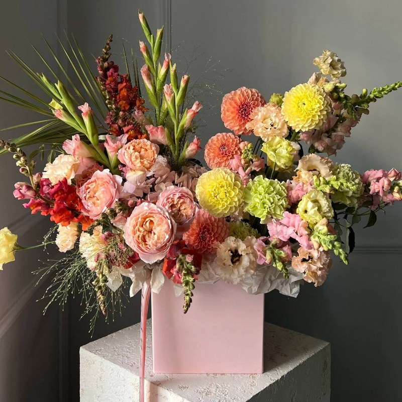 Нет заданного изображения 