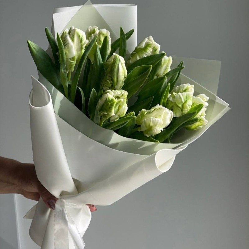 Нет заданного изображения 