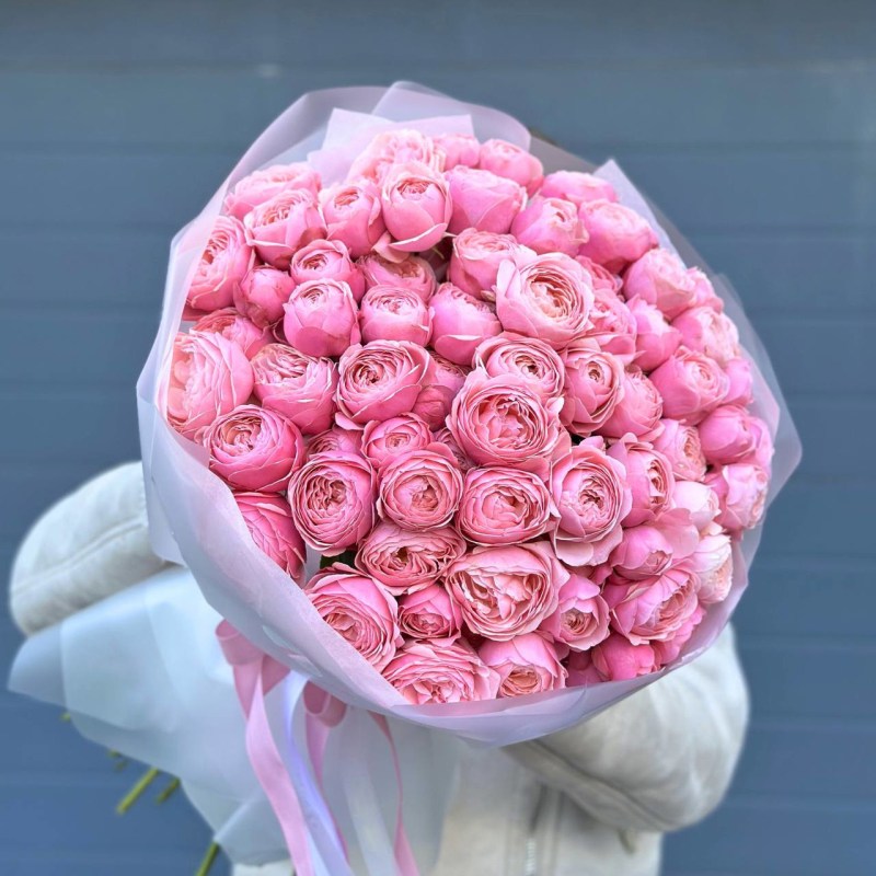 Нет заданного изображения 