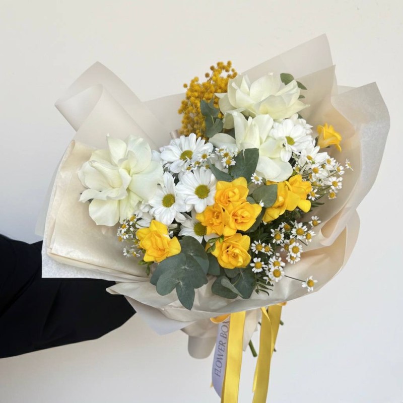 Нет заданного изображения 