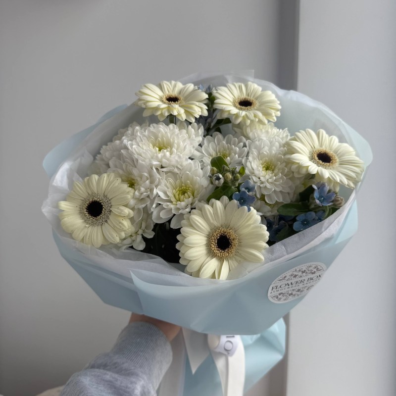 photo_2026-02-27_23-32-43