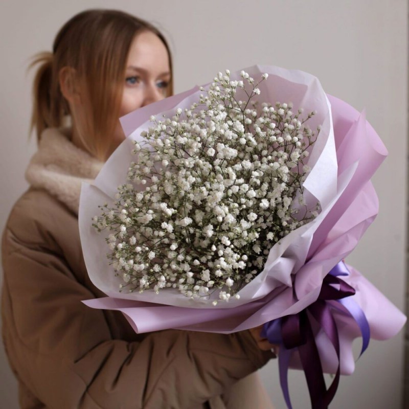Gypsophila alb